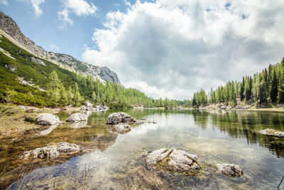 Scenic view of lake by trees against sky