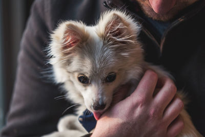 Close-up of man holding dog