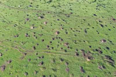 Full frame shot of sand