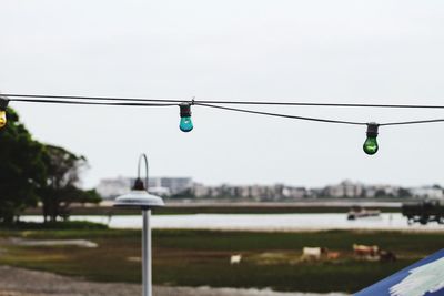 Light bulbs hanging against sky