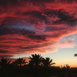 Silhouette palm trees against sky during sunset