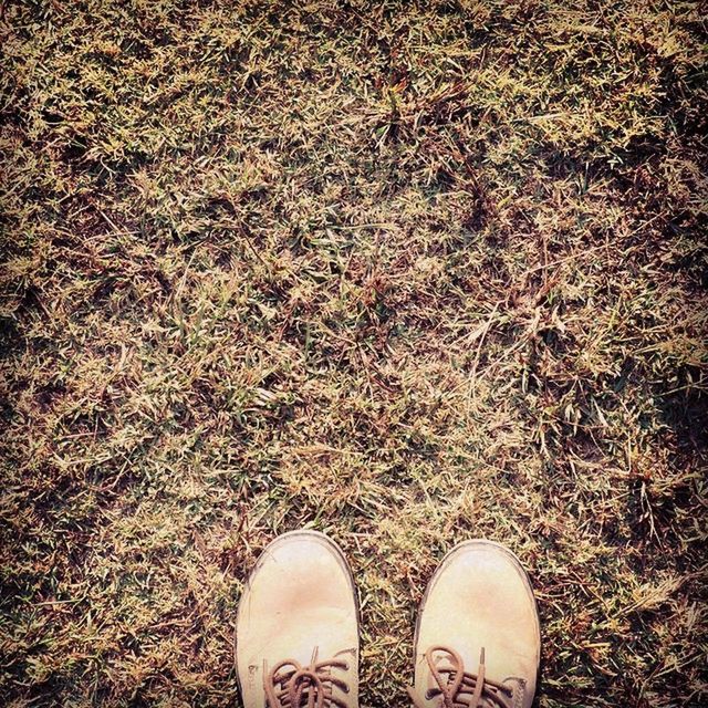 low section, shoe, person, personal perspective, footwear, human foot, standing, high angle view, grass, lifestyles, pair, canvas shoe, unrecognizable person, field, leisure activity, men, directly above