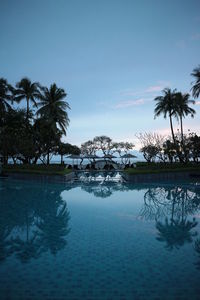 Palm trees by swimming pool against sky