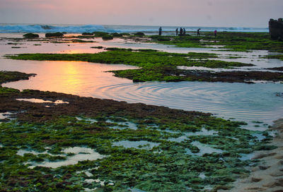 Scenic view of beach against sky during sunset