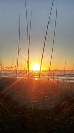 View of beach at sunset