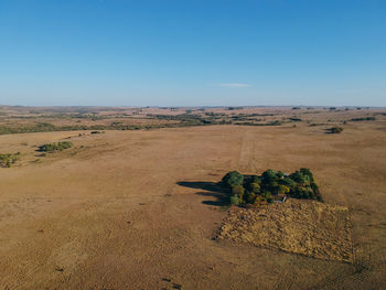 Scenic view of field against clear blue sky