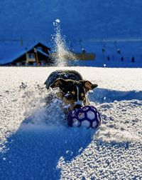 Close-up of water splashing on land
