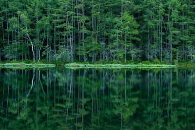 Scenic view of calm lake