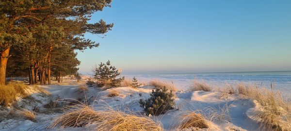 Scenic view of sea against clear sky during winter