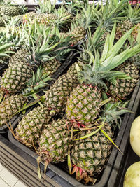 Close-up of pineapple for sale at market