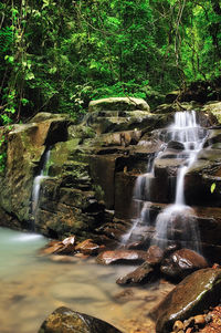 View of waterfall in forest