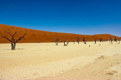 Scenic view of desert against clear sky