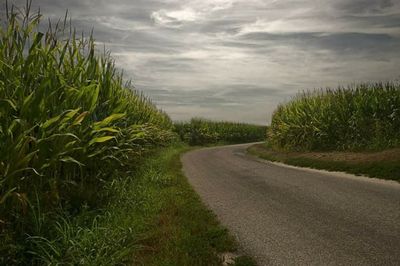 Dirt road passing through field against cloudy sky