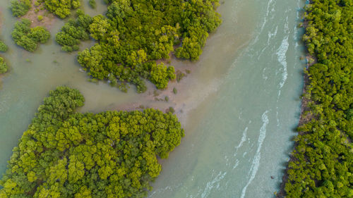 Aerial view of the mangrove swamps , city of dar es salaam