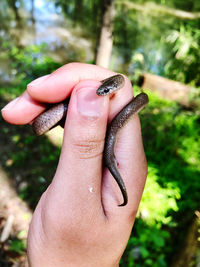 Holding a small snake outdoors