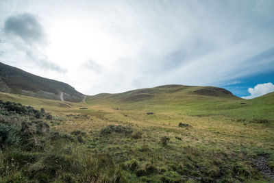 Scenic view of landscape against sky