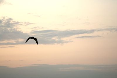 Silhouette of person flying over sea against sky