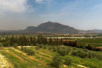 Scenic view of field against sky