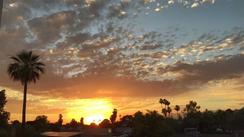 Silhouette palm trees against sky during sunset