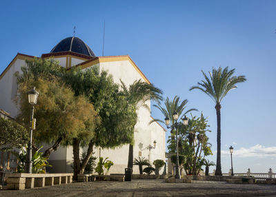 Palm trees by building against blue sky