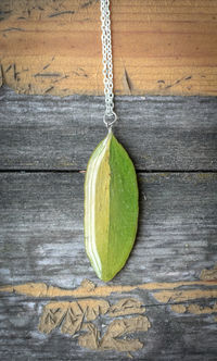 Close up leaf shaped pendant with chain concept photo