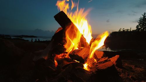 Close-up of campfire on field