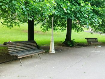Empty bench against trees on landscape