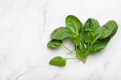 A bunch of fresh green spinach on a gray background