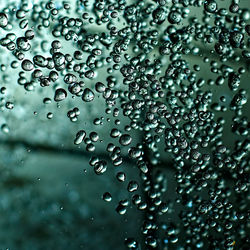 Close-up of water drops on spider web