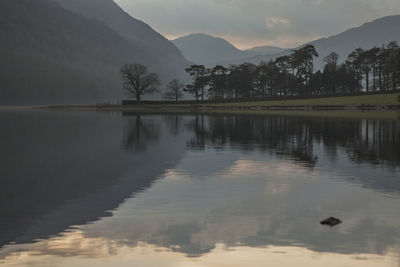 Scenic view of lake by trees against sky