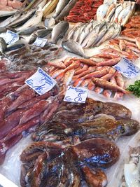 High angle view of fish for sale in market