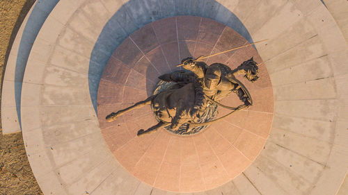 High angle view of bird on tiled floor