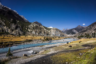 Scenic view of landscape and mountains against clear blue sky