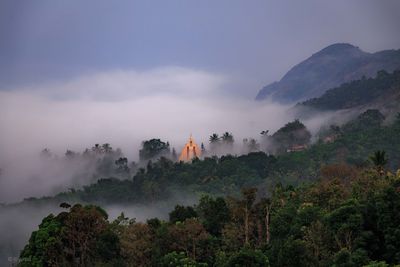 Panoramic view of trees on misty mountain against sky 