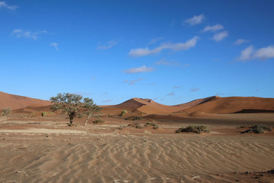 Sand dunes in desert against sky