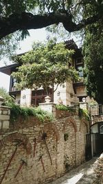 Ivy growing on wall of old building