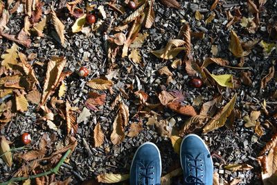 Low section of man standing in autumn leaves