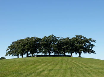 Trees on field against clear sky