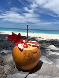 High angle view of hand holding coco nut 