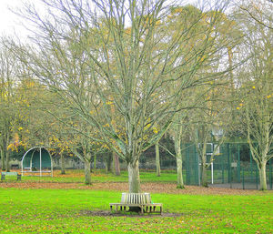 Empty bench in park during autumn