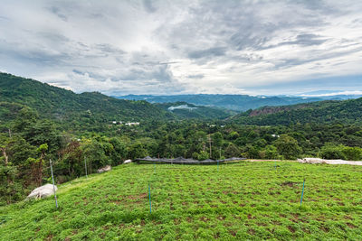 Scenic view of landscape against sky