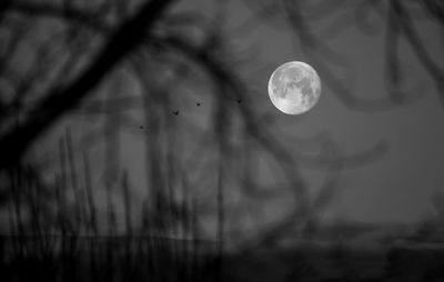 Close-up of moon against sky