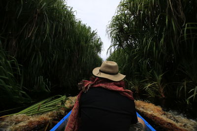 Rear view of man by trees against sky