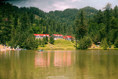 Scenic view of lake by trees in forest