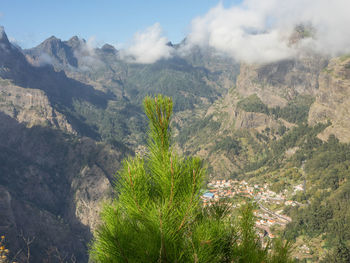 In the mountains of madeira