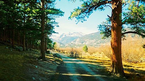 Country road leading towards mountains