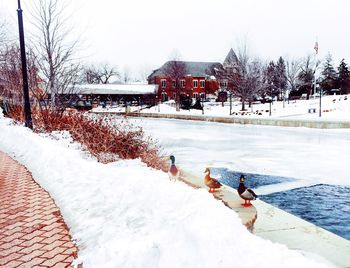 winter