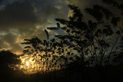 Silhouette of trees against sky at sunset