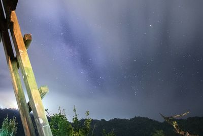 Low angle view of trees against sky at night