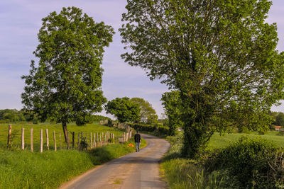 Road amidst green landscape against sky